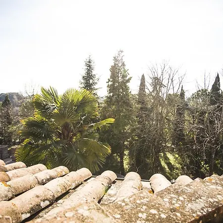 Bed & Breakfast Alba