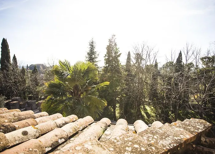 Bed & Breakfast Alba